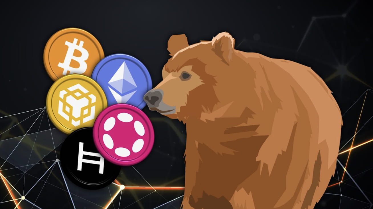 DeFi Apps Crypto Pump Boosting in a Bear Market